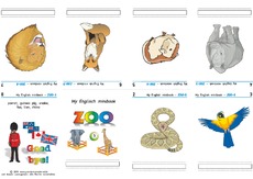 folding-book_zoo_co_3.pdf